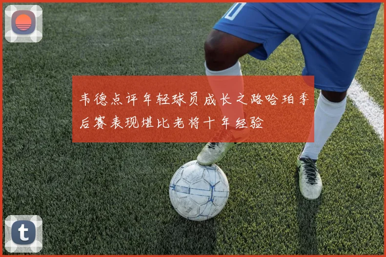 韦德点评年轻球员成长之路哈珀季后赛表现堪比老将十年经验